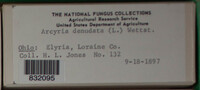 Image Associated With the Occurence